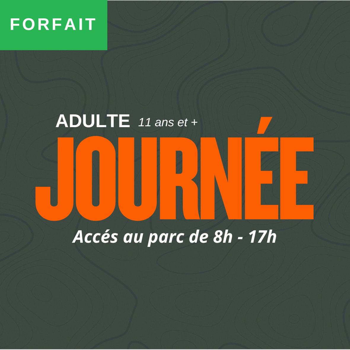 ADULTE JOURNEE (11 ans et +)