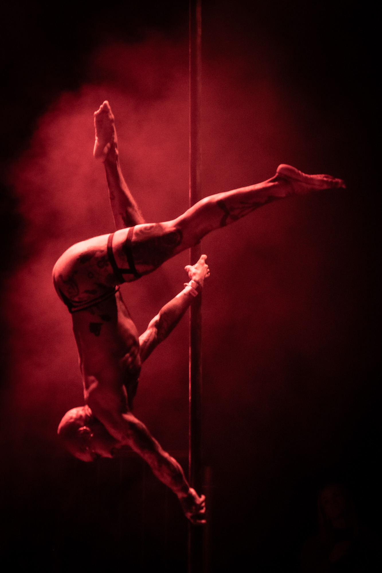Workshop pole - Art de l’Expression Sensuelle