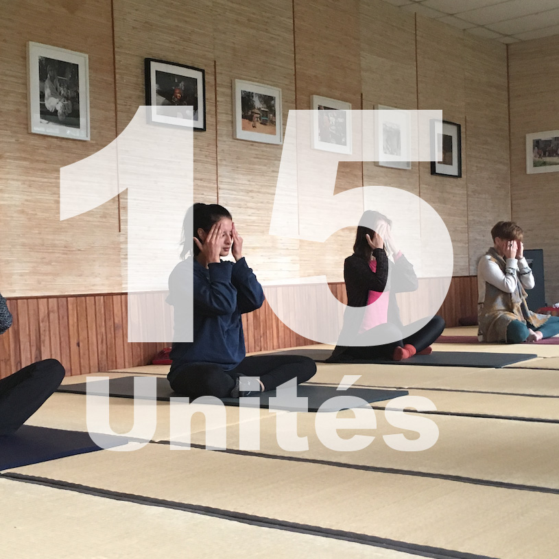 Pass découverte 15 unités
