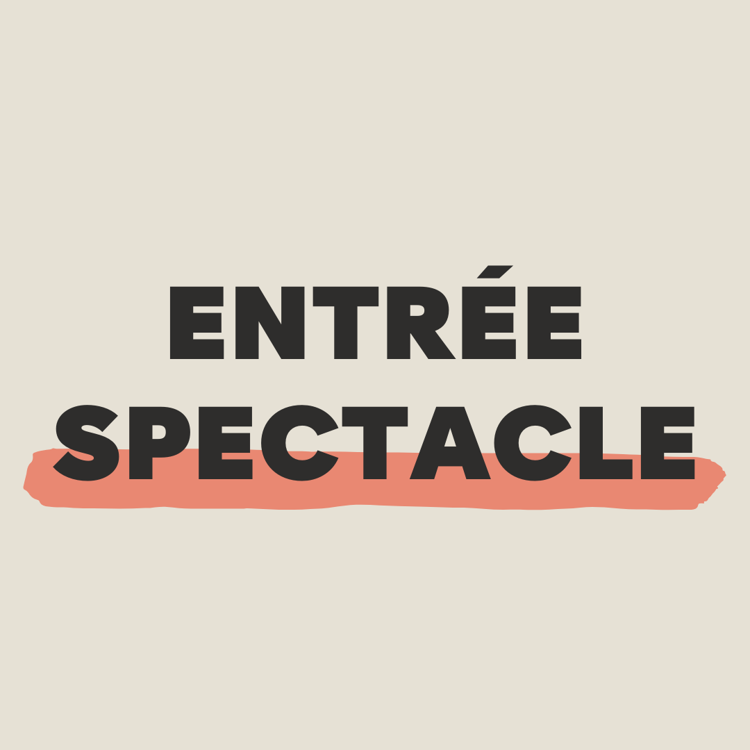 Entrée PESTACLE anniversaire d'Aerial Spirit