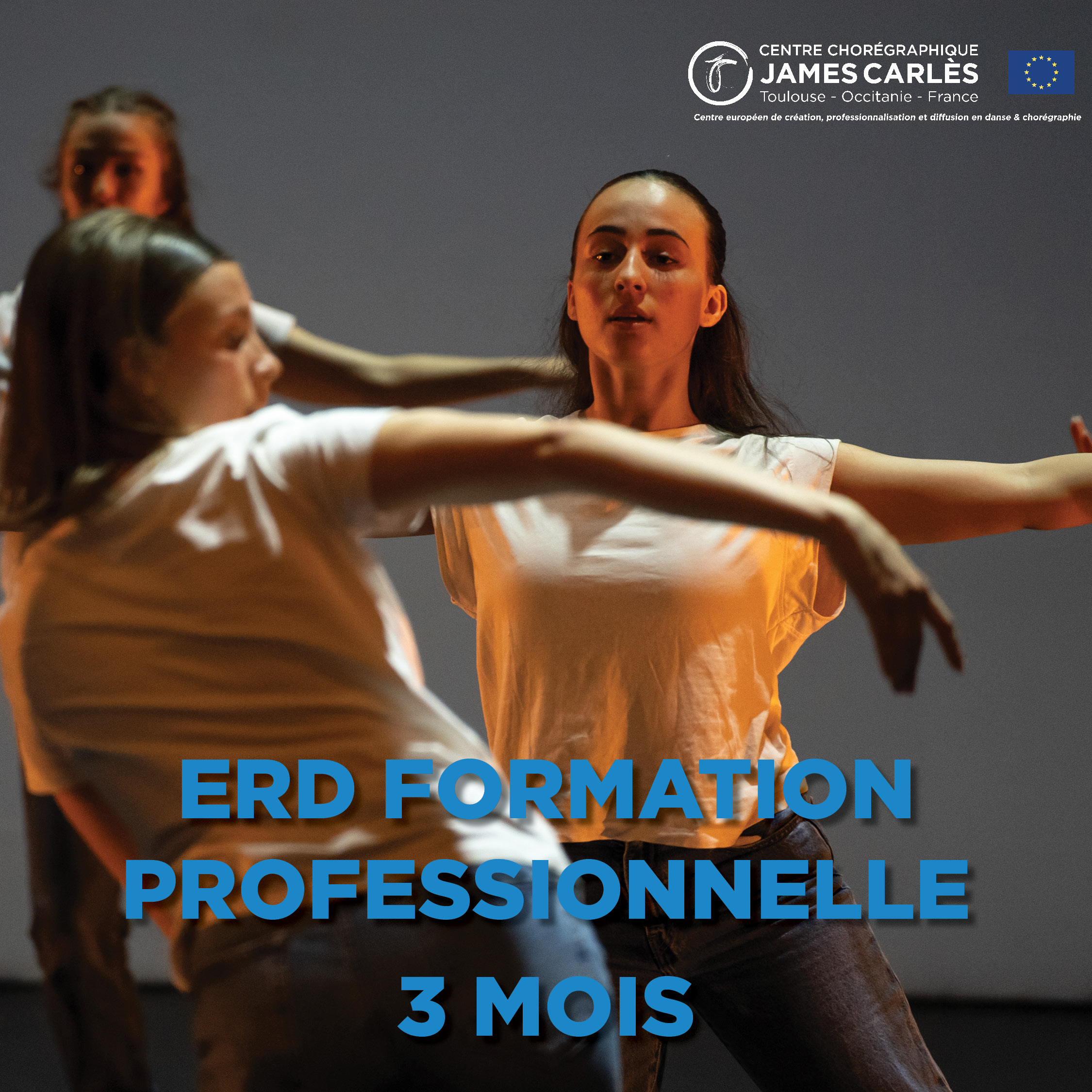 ERD FORMATION PROFESSIONNELLE 10 COURS (3 mois )