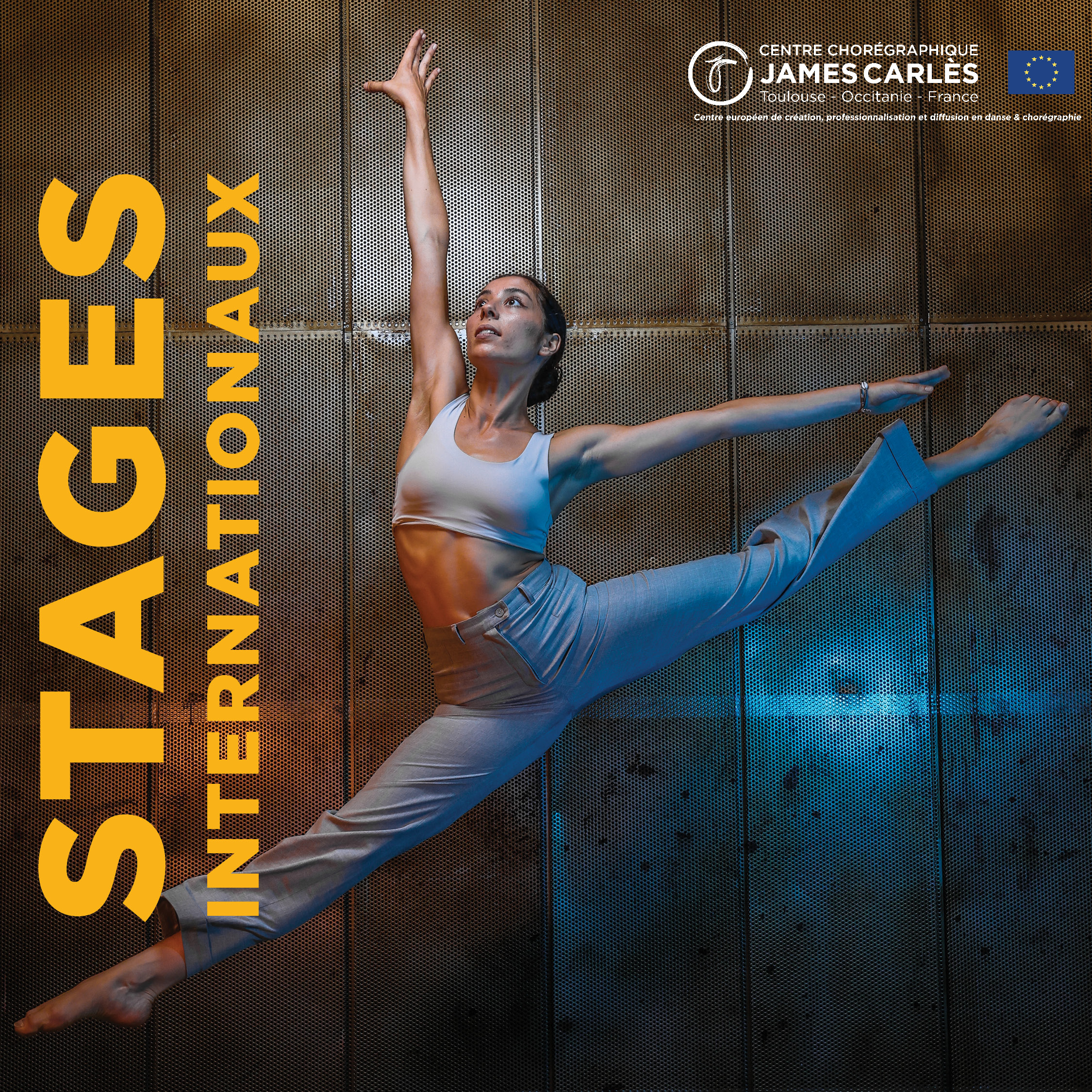 02. MES STAGES DE DANSE