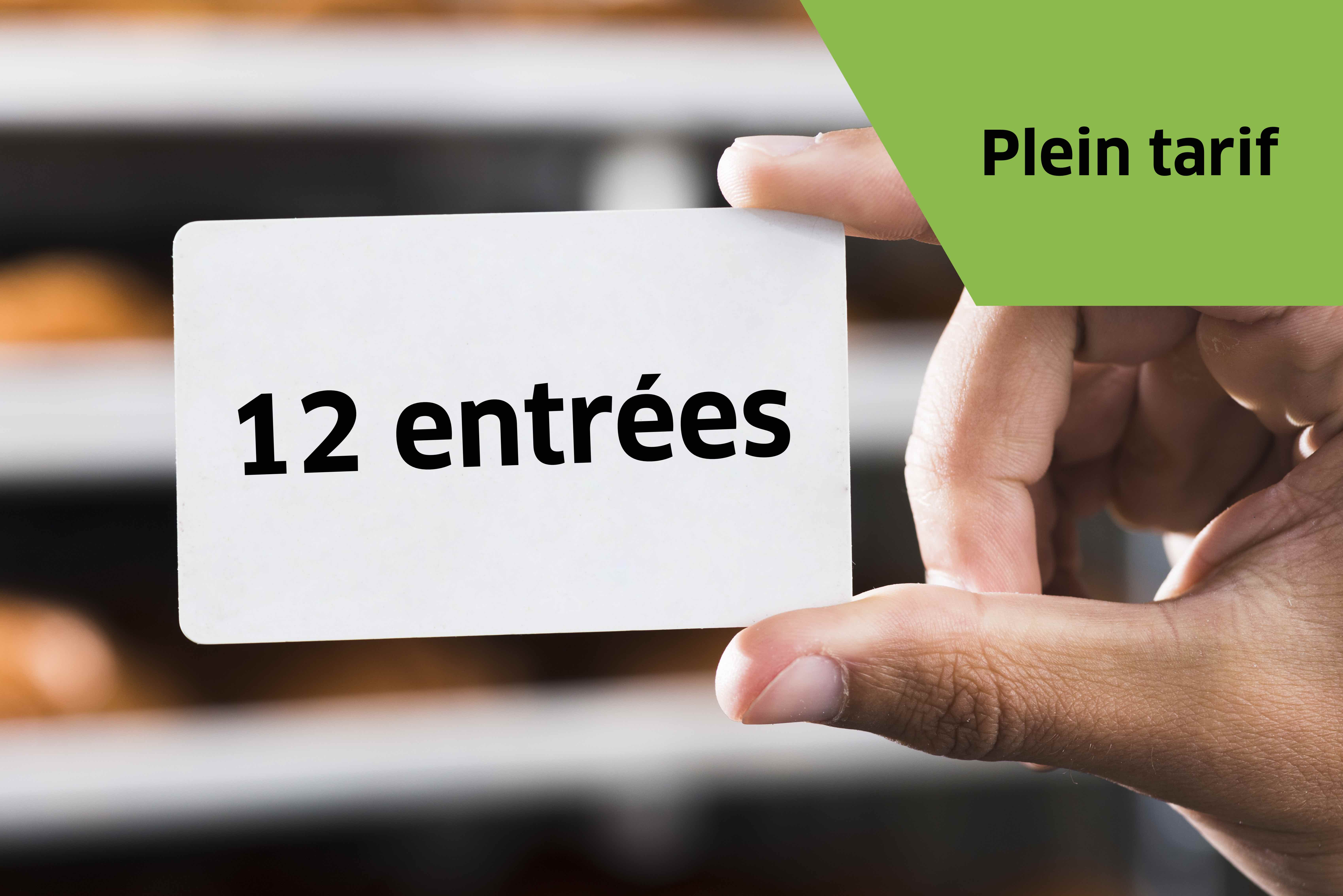 Carnet 12 entrées - Plein tarif